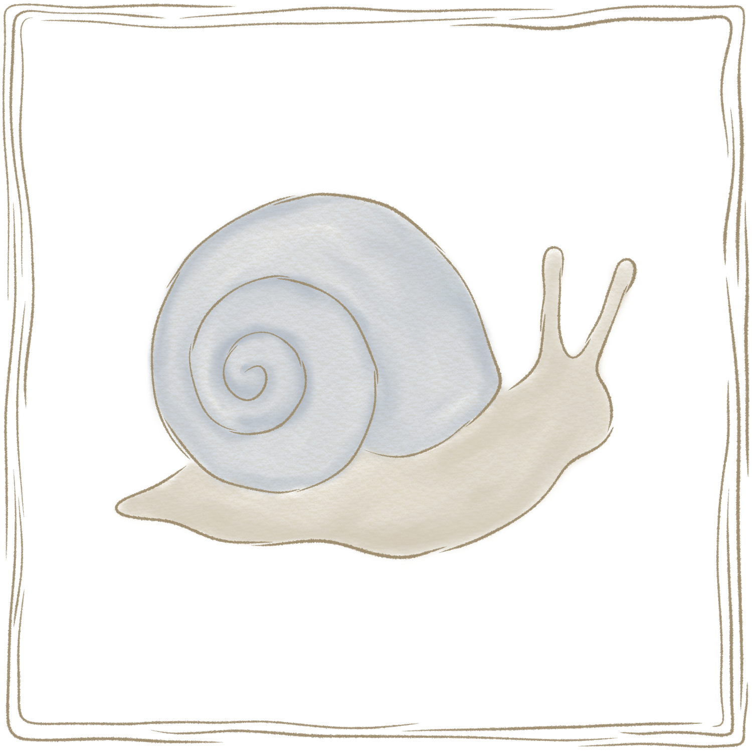 snail mail