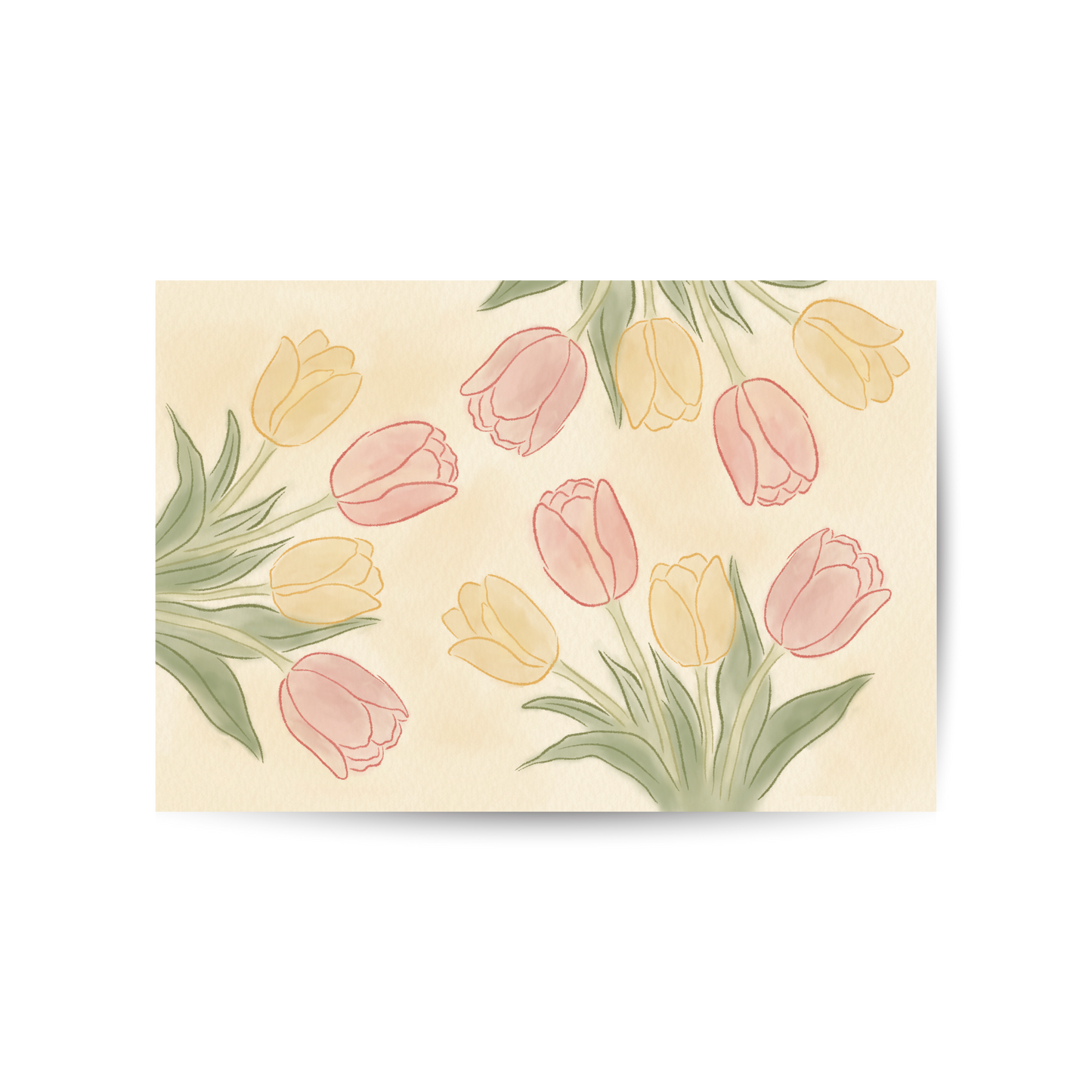 'tulips' art print