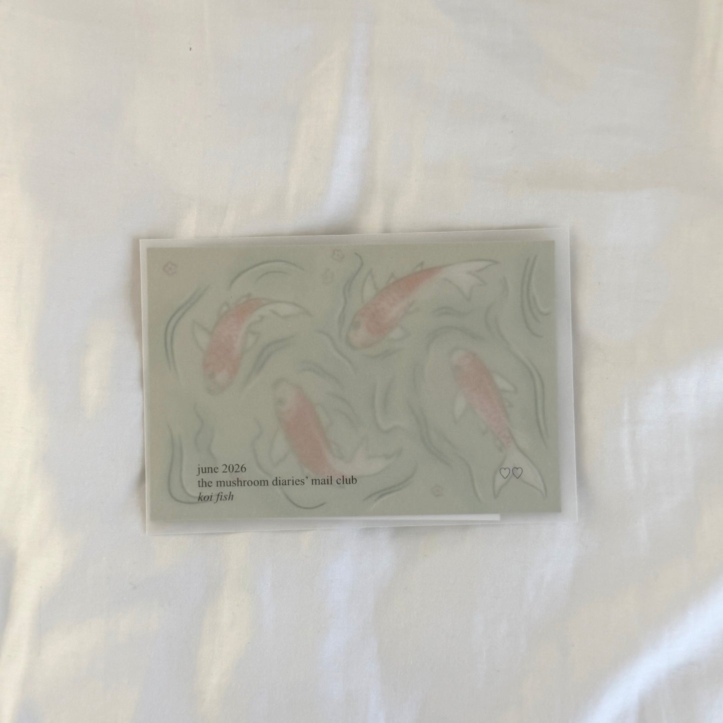 "koi fish" snail mail