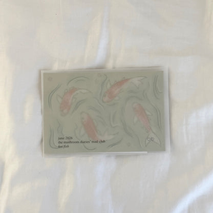"koi fish" snail mail