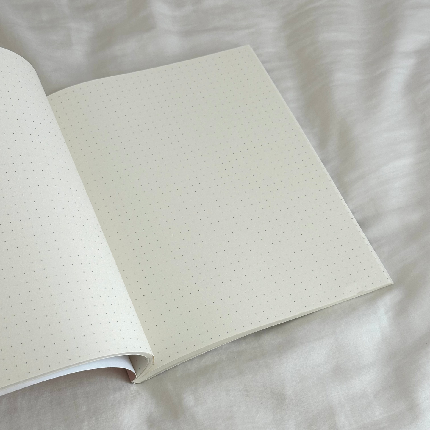 taupe & beige bullet journal